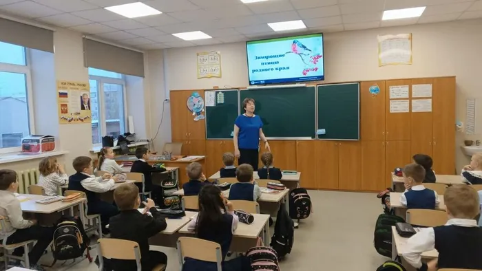 photo_7_2025-11-13_13-50-02