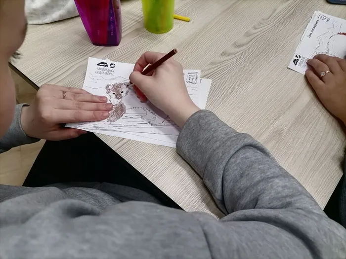 photo_2026-01-29_18-24-19