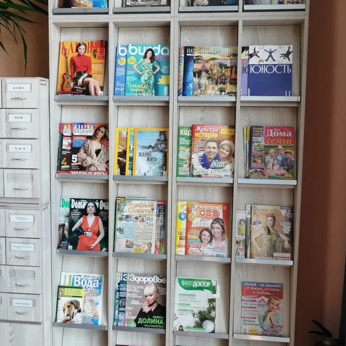 Периодические издания в помощь книге.